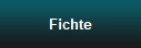 Fichte