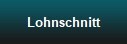 Lohnschnitt